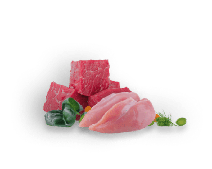 Collection of different meat proteins and plant based ingredients